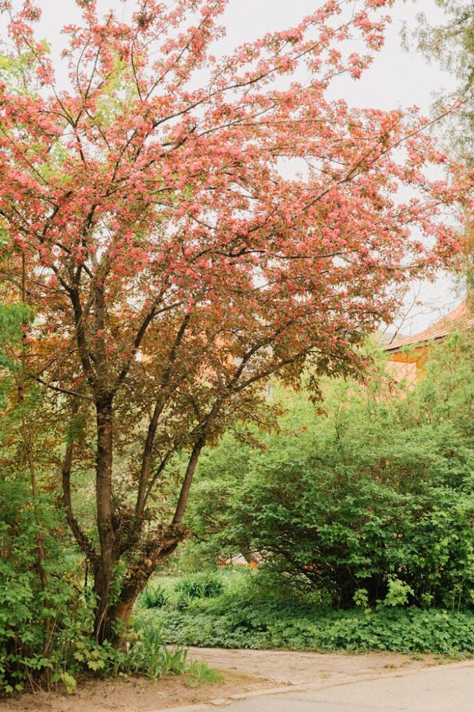 A lush garden with a blooming tree showcasing vibrant spring colors and greenery.